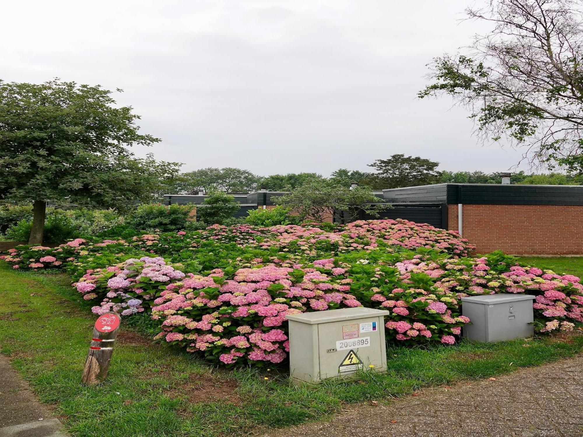 Comfortable Holiday Home In Noordwijkerhout Near The Sea מראה חיצוני תמונה